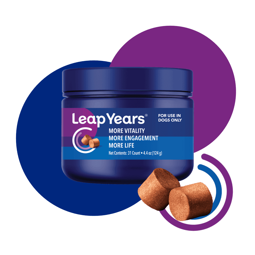 Leap Years Cellular Health System bottle with beef-flavored soft chews for dogs