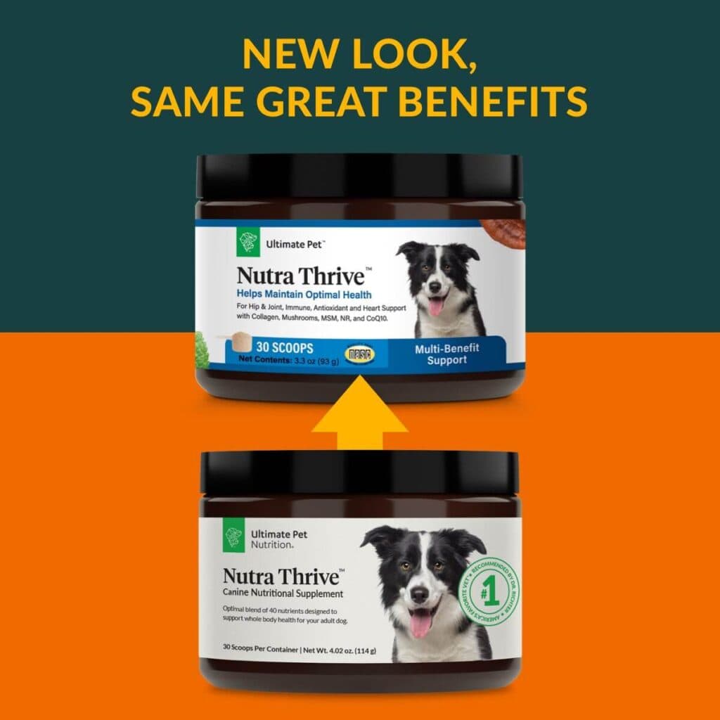 Ultimate Pet Nutrition Nutra Thrive for Dogs 40-in-1 nutritional powder supplement jar